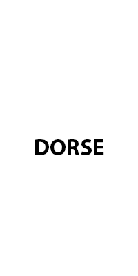 DORSE