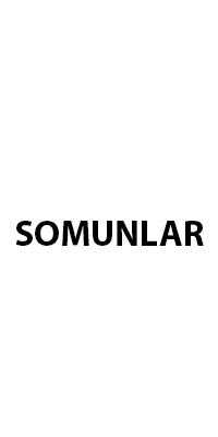 SOMUNLAR